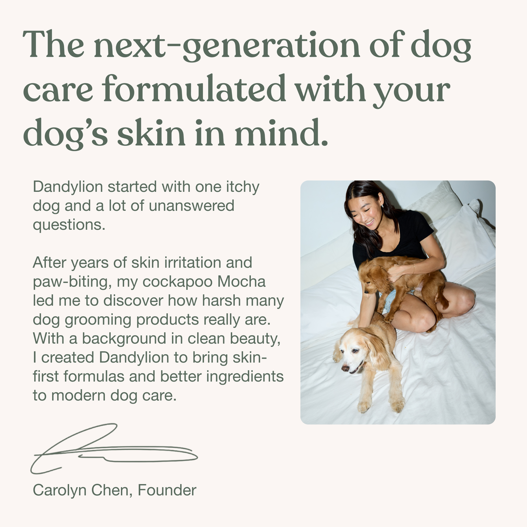 Gentle Cleanse Dog Wipes (Pack of 30)