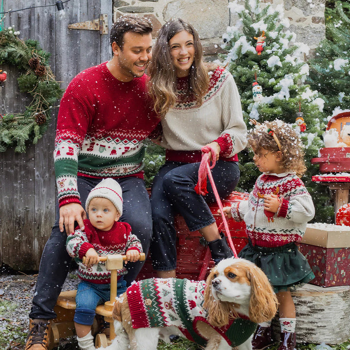 Pets Holiday Sweater