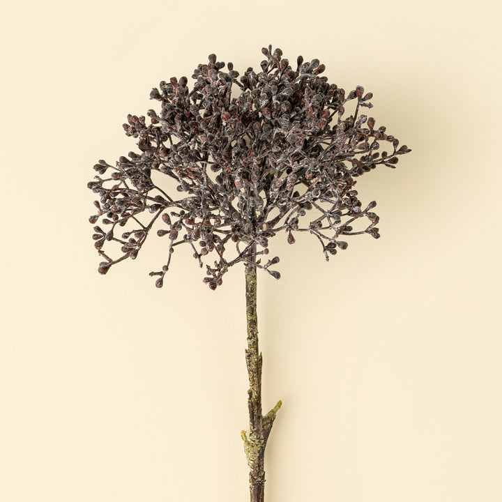 Viburnum Berry Stem Deep Purple
