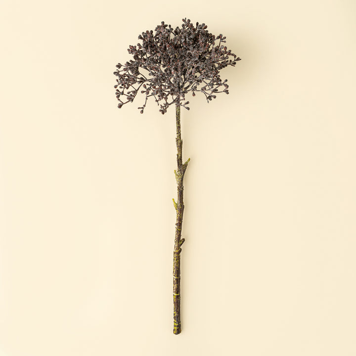 Viburnum Berry Stem Deep Purple