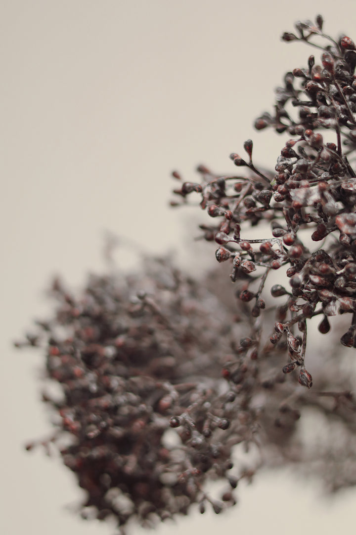 Viburnum Berry Stem Deep Purple