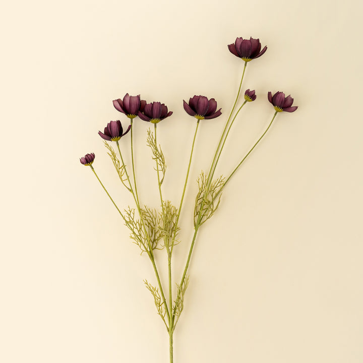 Calliopsis Spray Deep Purple
