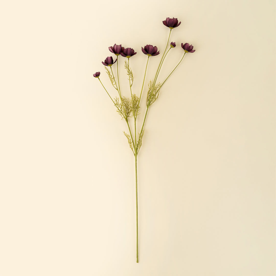 Calliopsis Spray Deep Purple