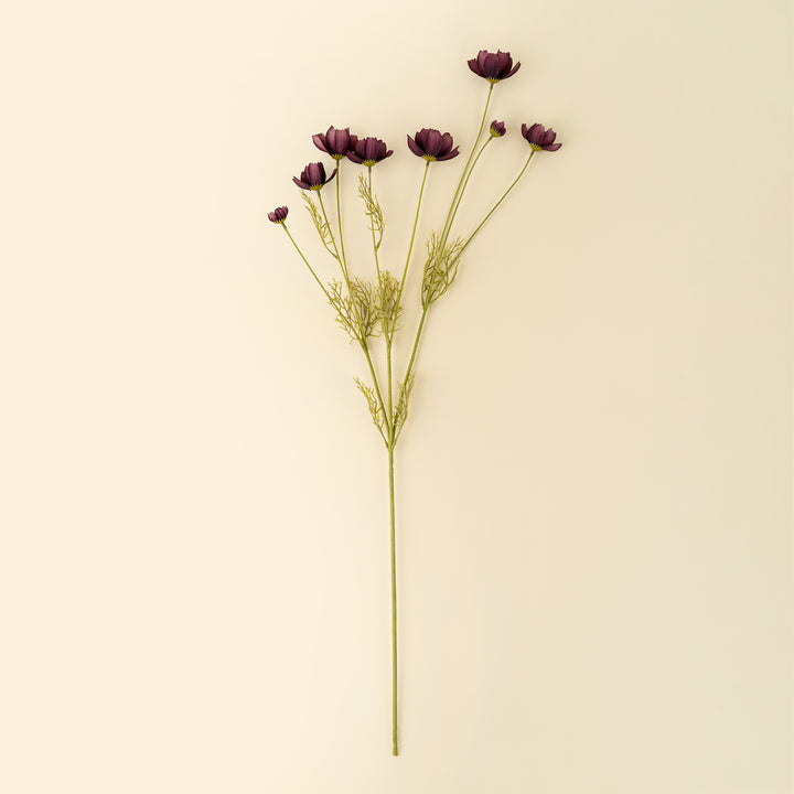 Calliopsis Spray Deep Purple