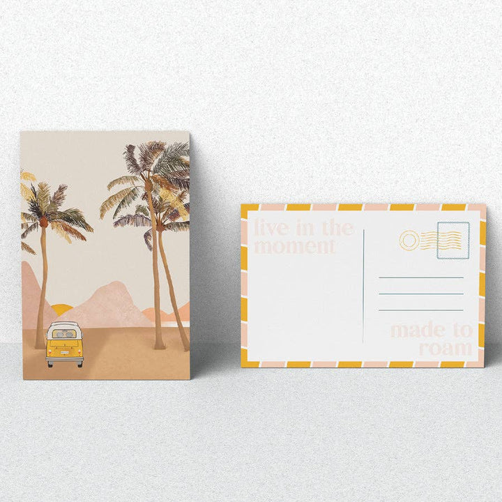 Smelly Balls Sun Seeker Set - Coconut + Lime