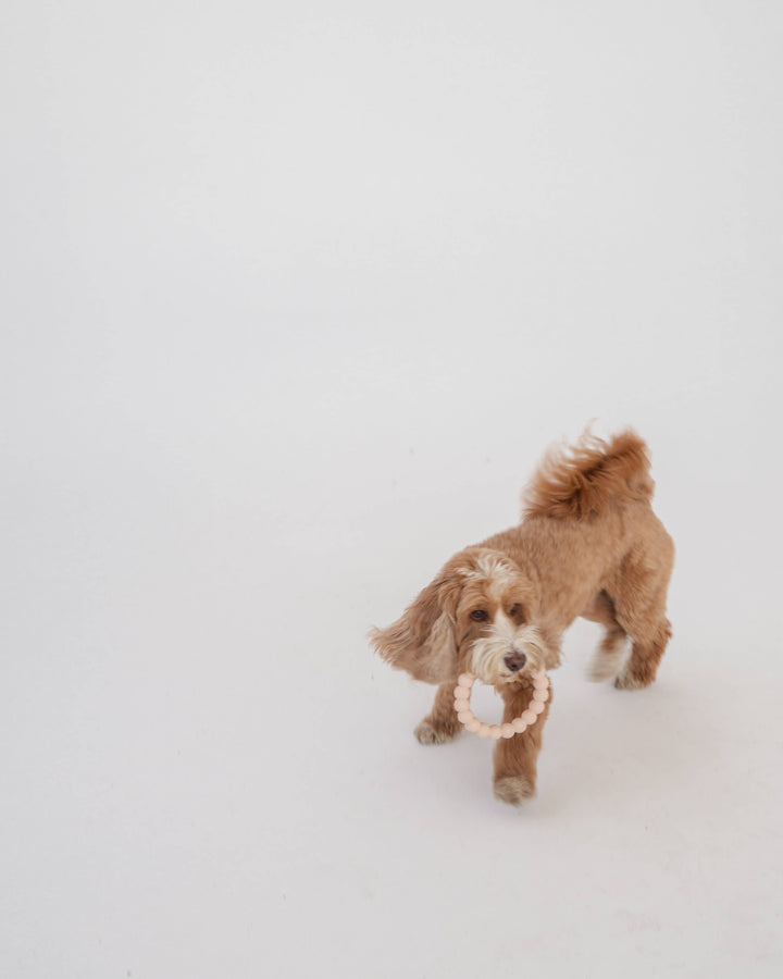 Ring Aggressive Chew Toy Set