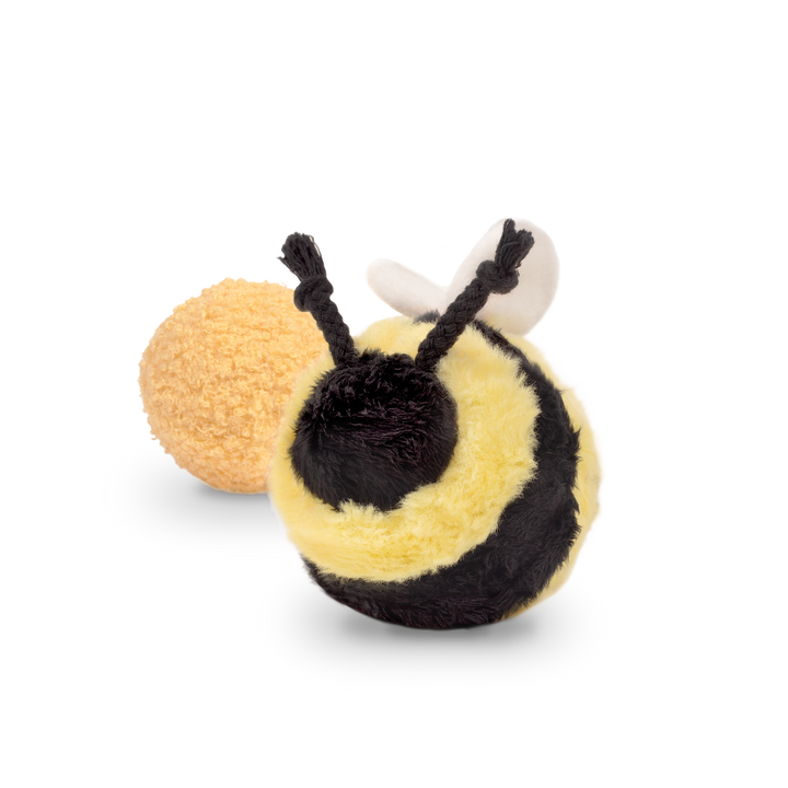 Bee Pop