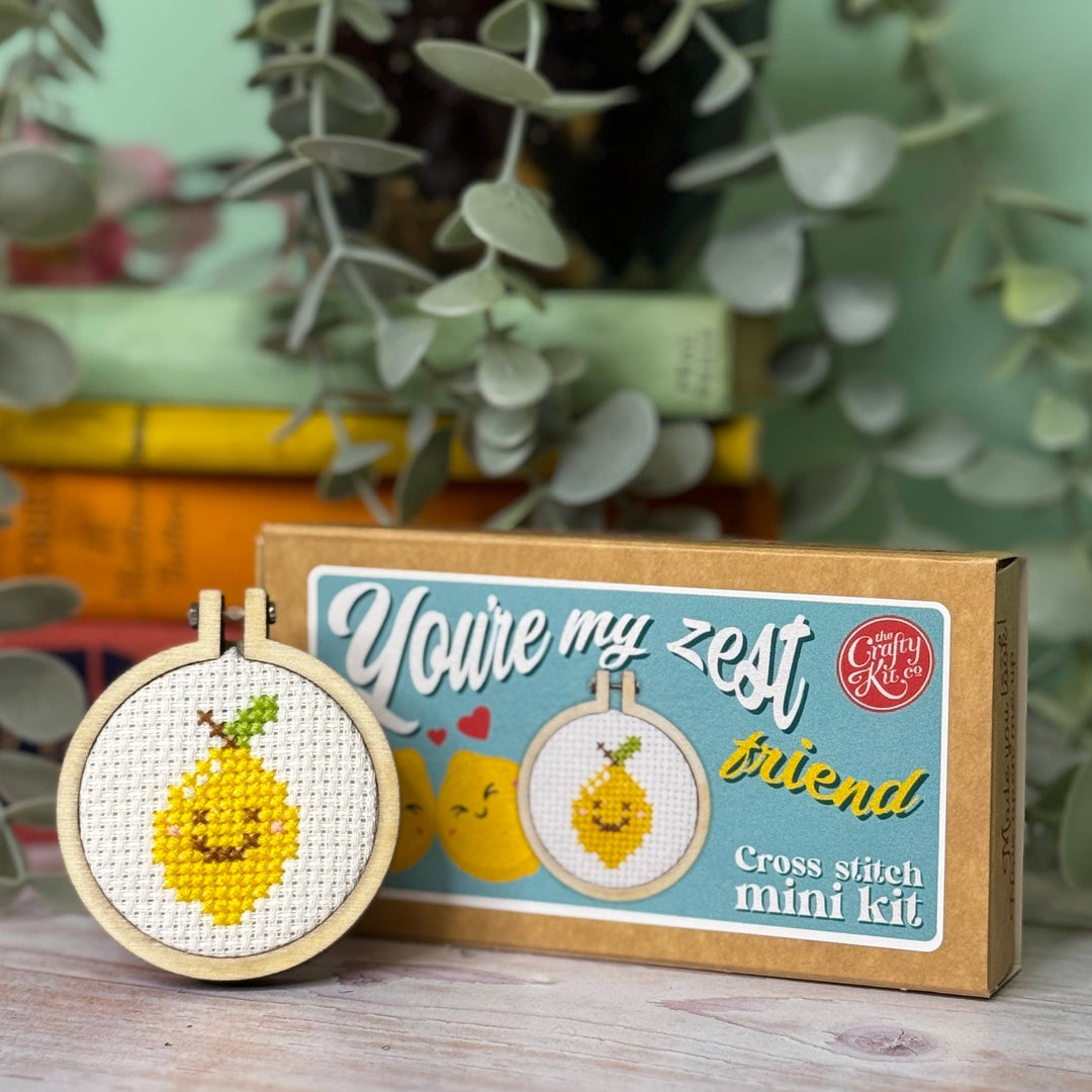 You're My Zest Friend Mini Cross Stitch Kit