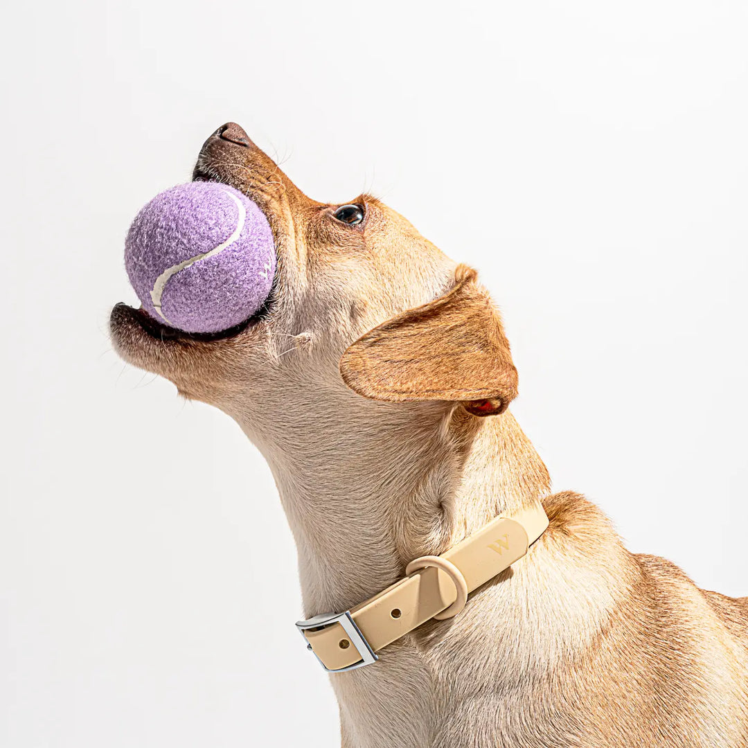 4-Pack Dog Tennis Balls