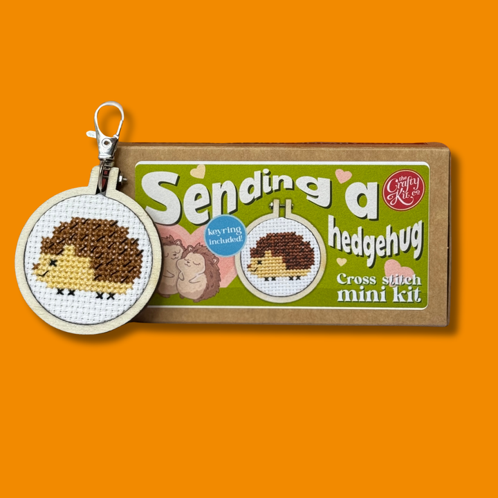 Sending a Hedgehug Mini Cross Stitch Kit