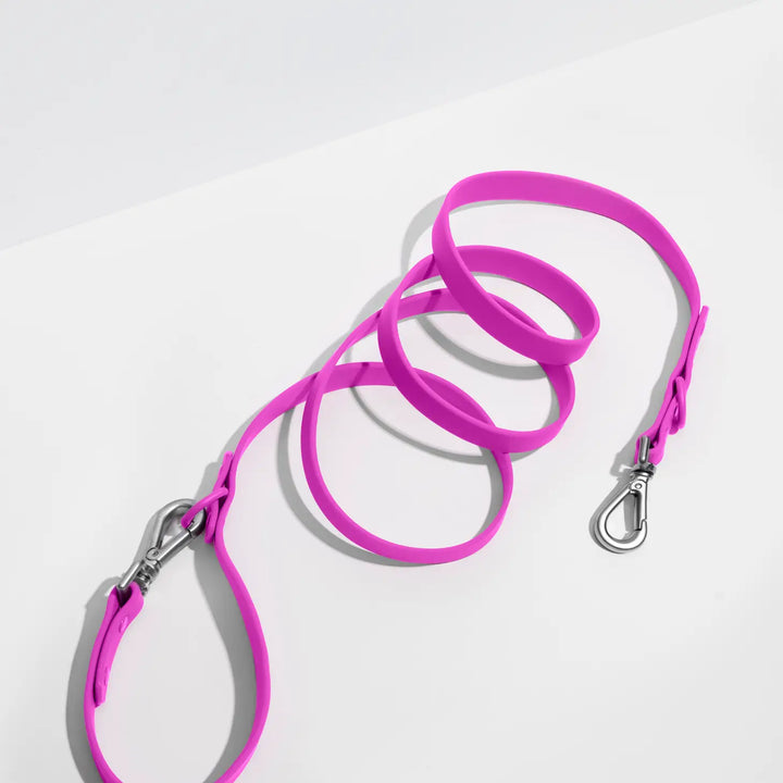 Adjustable Dog Leash