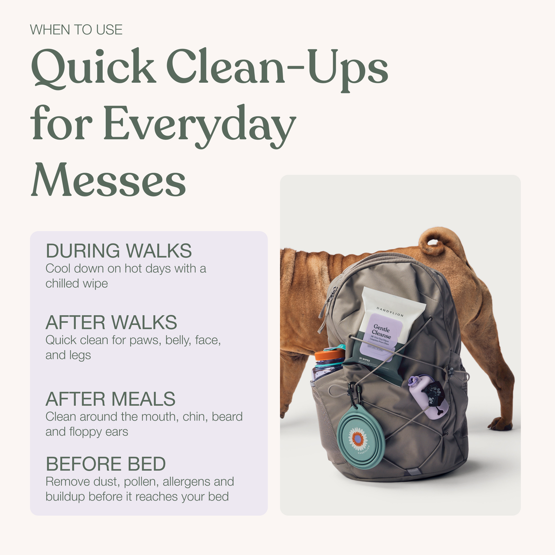 Gentle Cleanse Dog Wipes (Pack of 30)