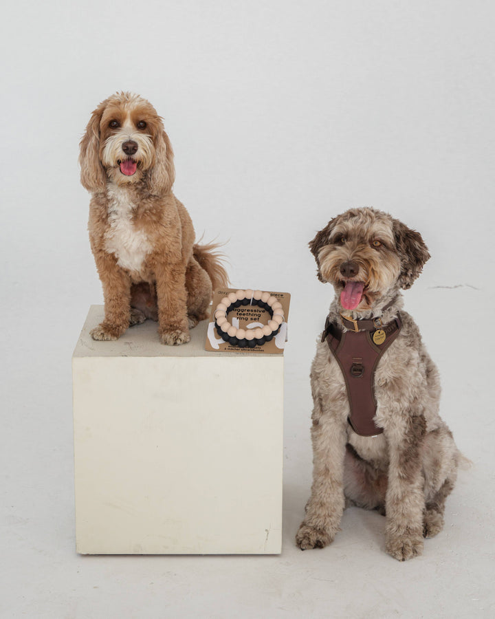 Ring Aggressive Chew Toy Set