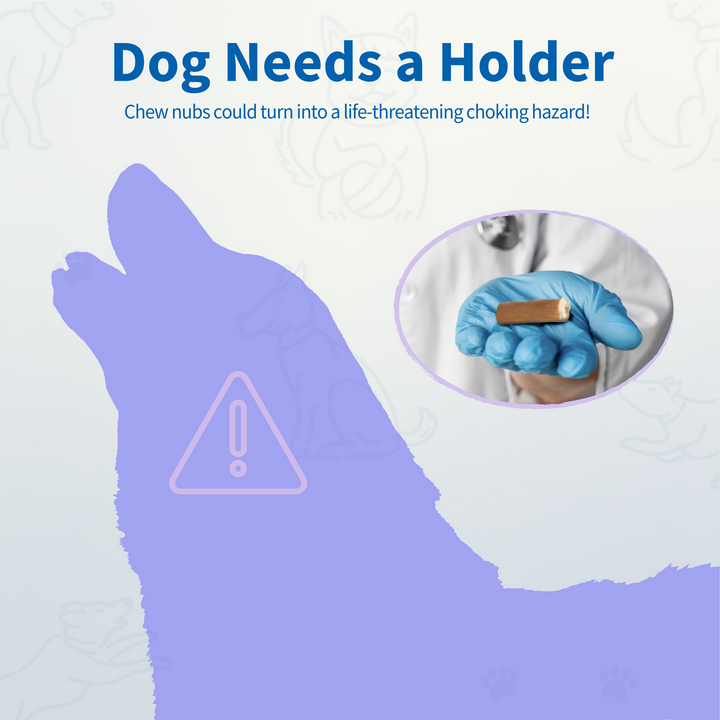 Safe Chew Holder – Small