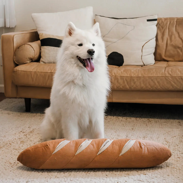 Giant Baguette