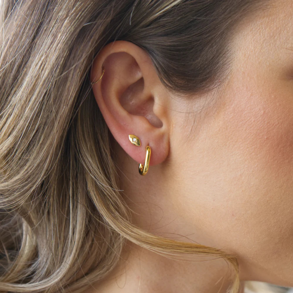 Audrey Hoops