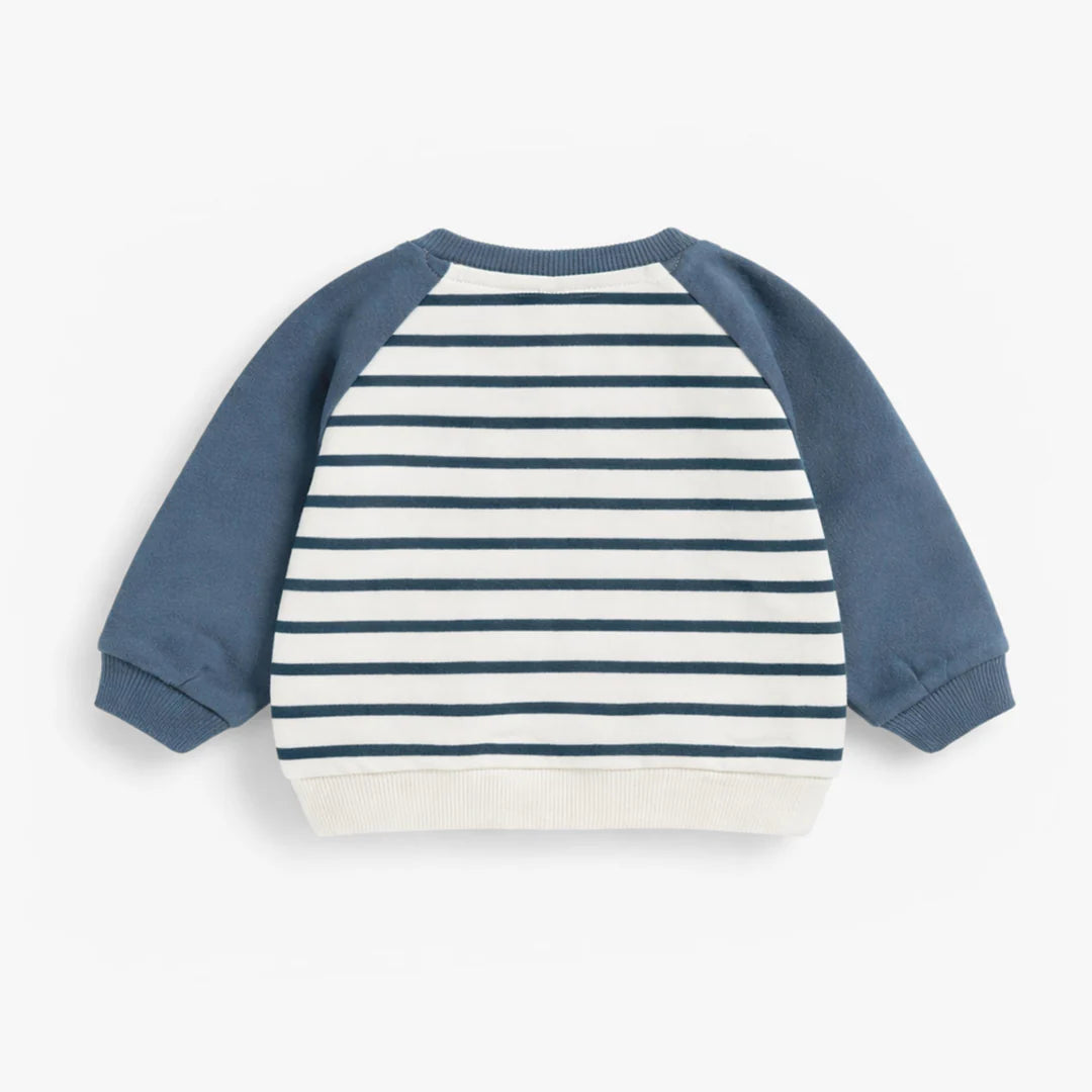 Blue Stripe Sweater