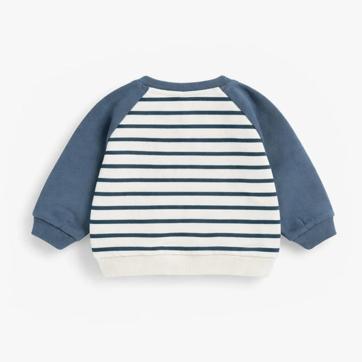 Blue Stripe Sweater