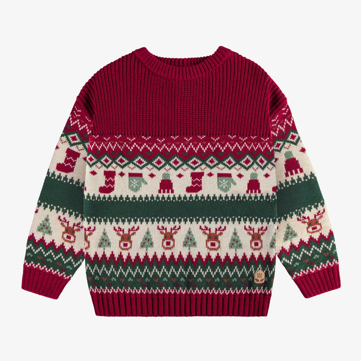 Children Holiday Sweater