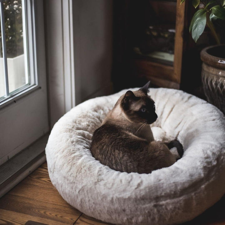 Frank’s Cuddler Dog Bed