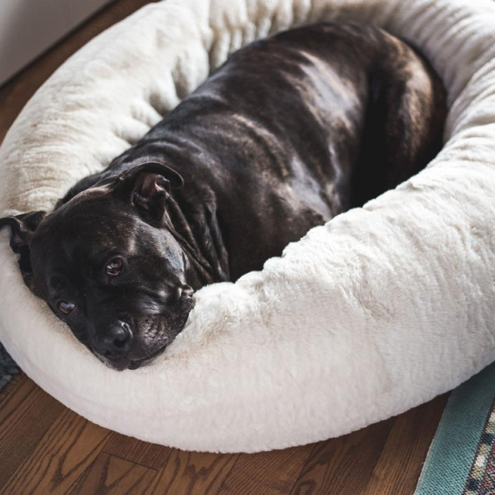 Frank’s Cuddler Dog Bed