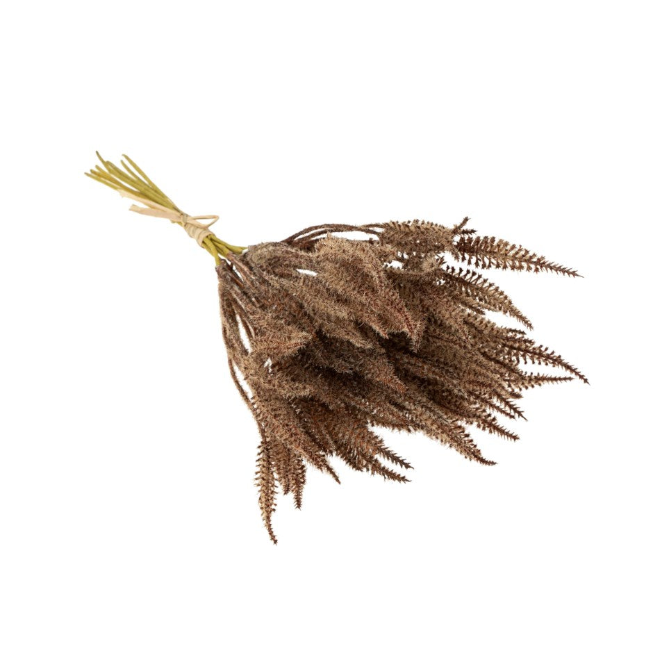 Brown Mini Pampas Grass Bundle