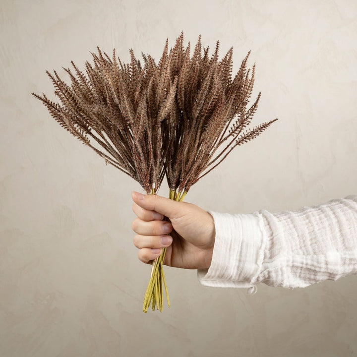 Brown Mini Pampas Grass Bundle