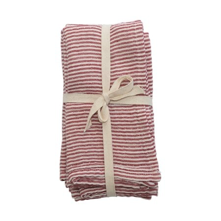 Square Cotton Napkins with Stripes (SetOf4)