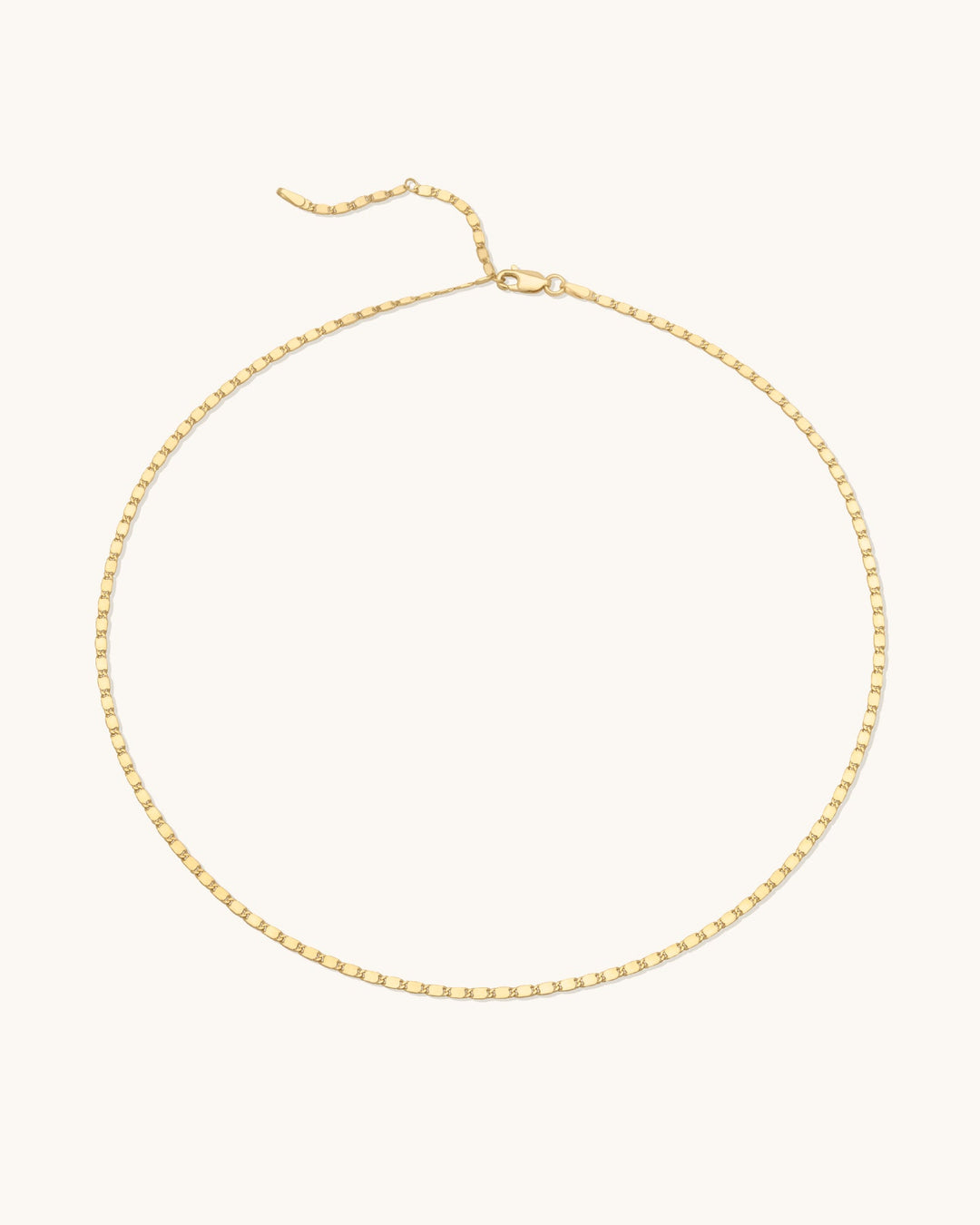 Nostalgia Chain Necklace