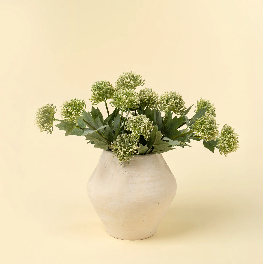 Green Sedum Spray