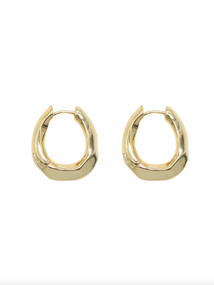 The Delphine Hoops