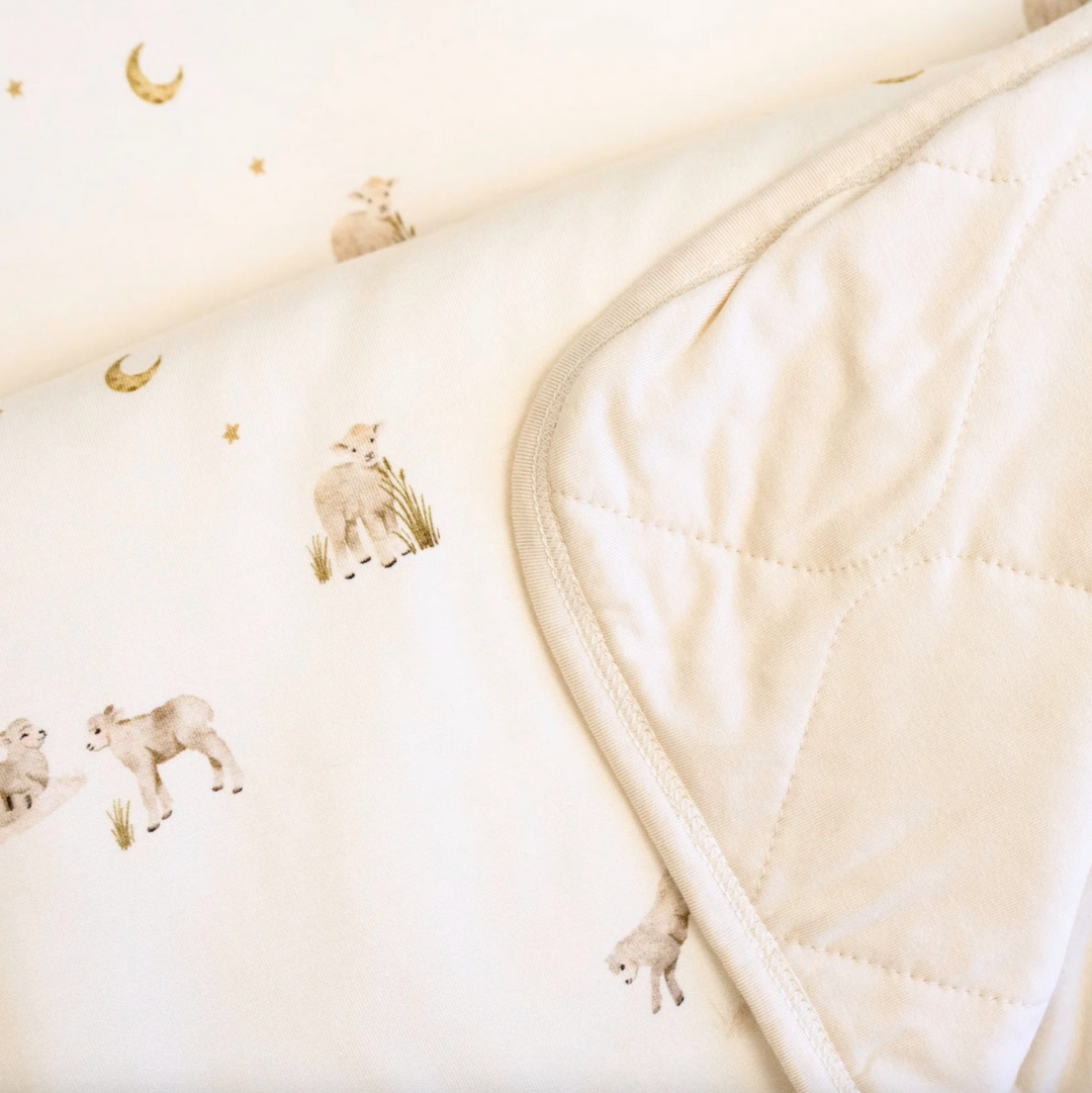 Snuggle Blanket