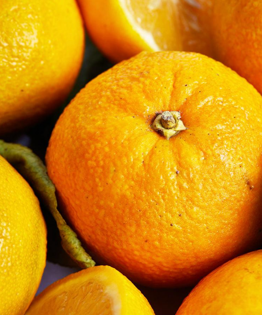 Seville Orange Marmalade