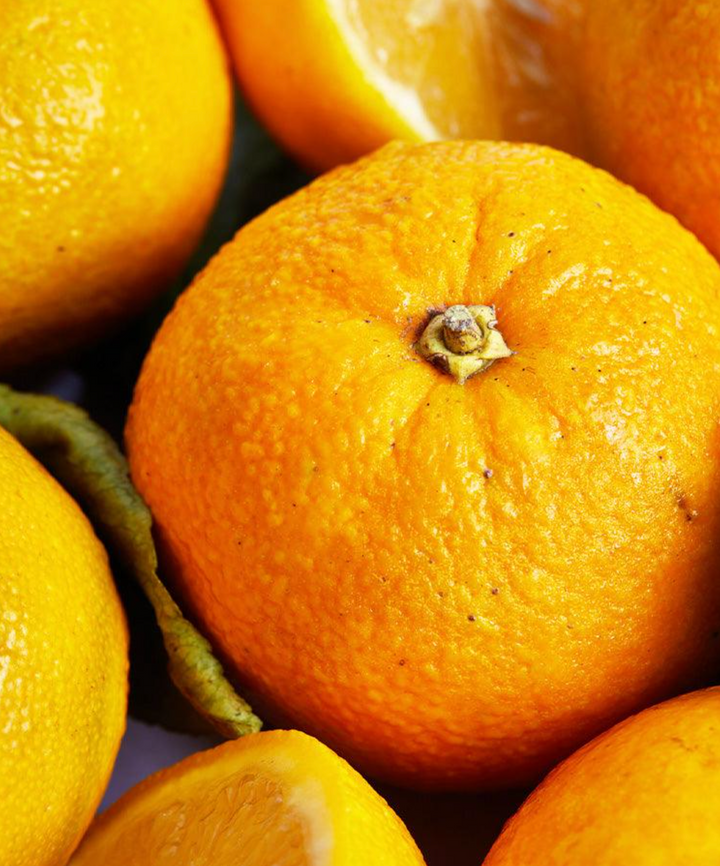 Seville Orange Marmalade