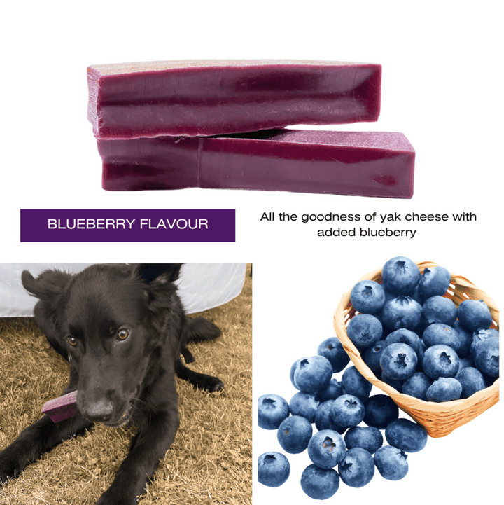 Yak Chew Blueberry