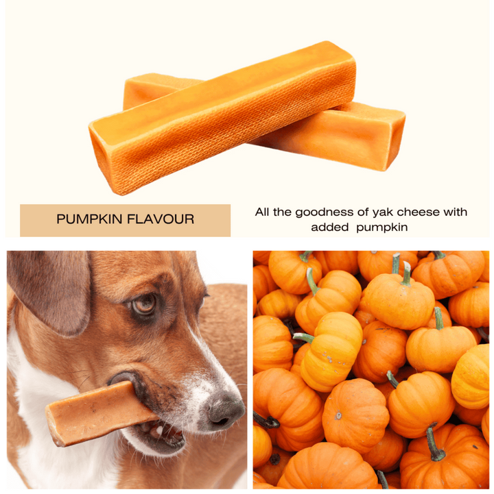 Yak Chew Pumpkin