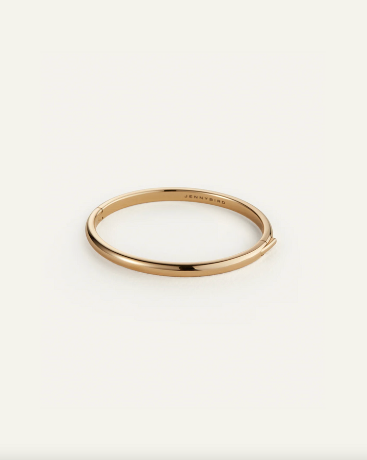 Remi Bangle