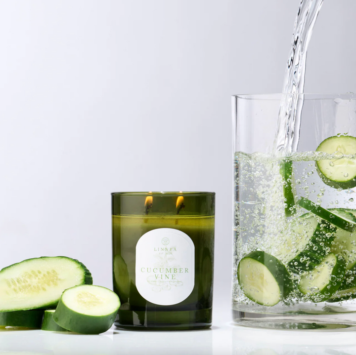 Cucumber Vine