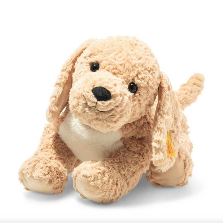 Berno Goldendoodle