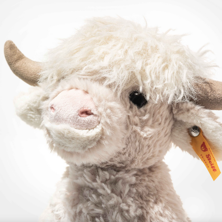 Harper Highland Cow