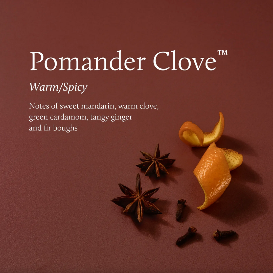 Pomander Clove Poured Candle