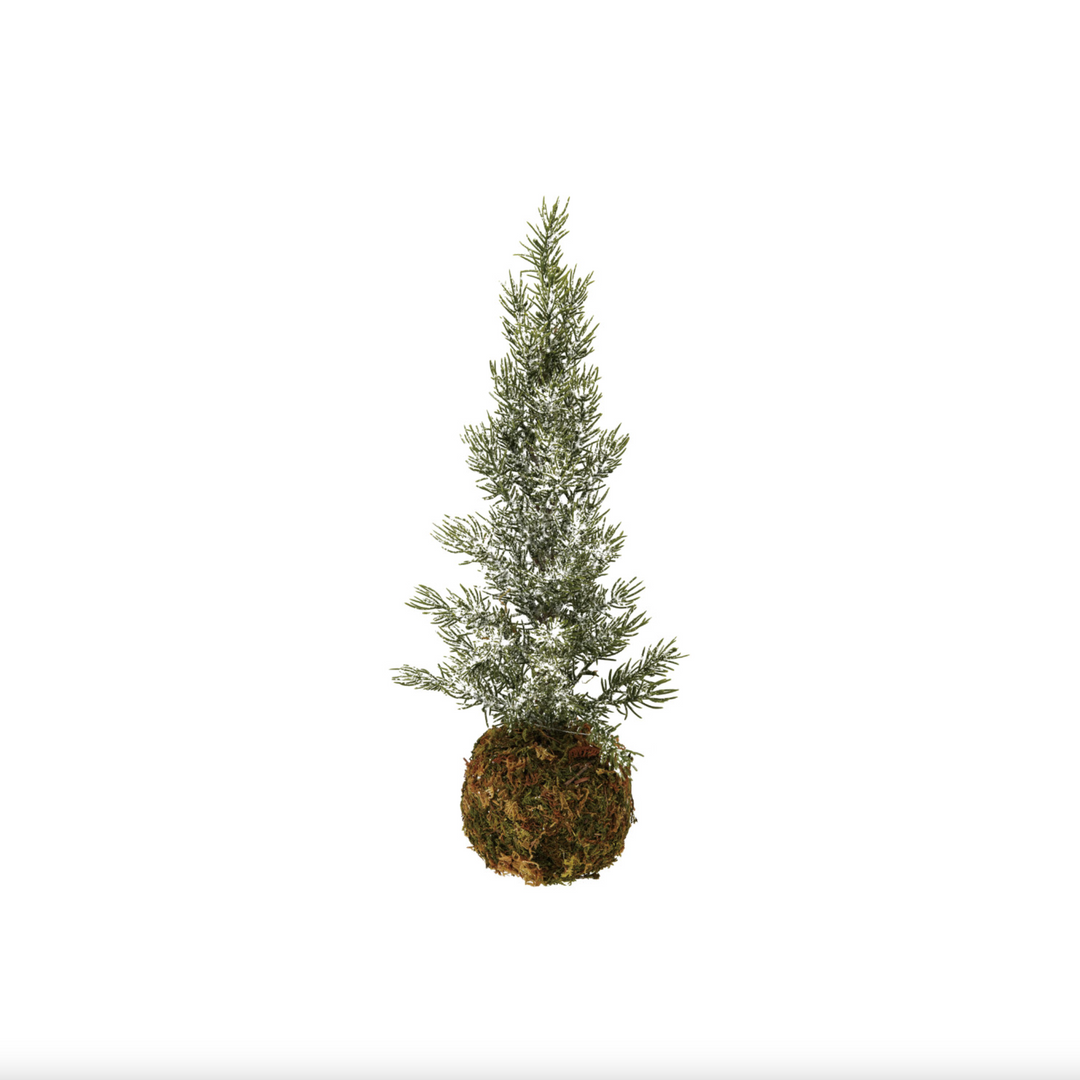 Faux Fir Tree w/ Moss Ball