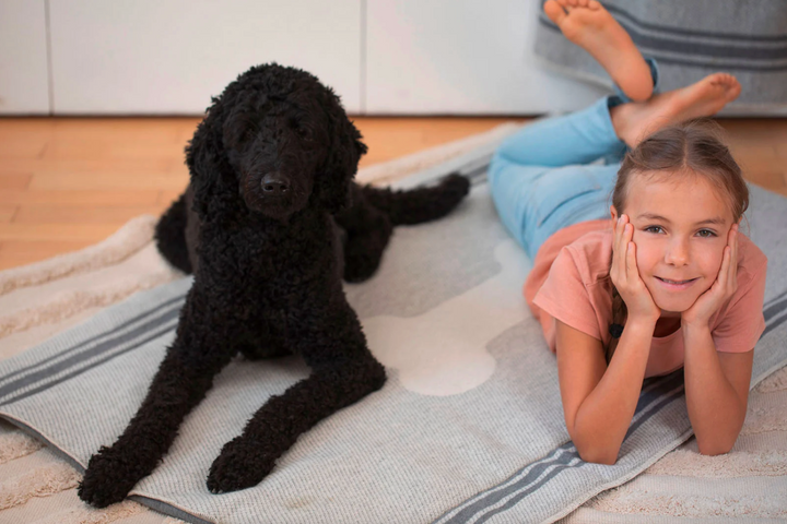 Bones Padded Dog Mat