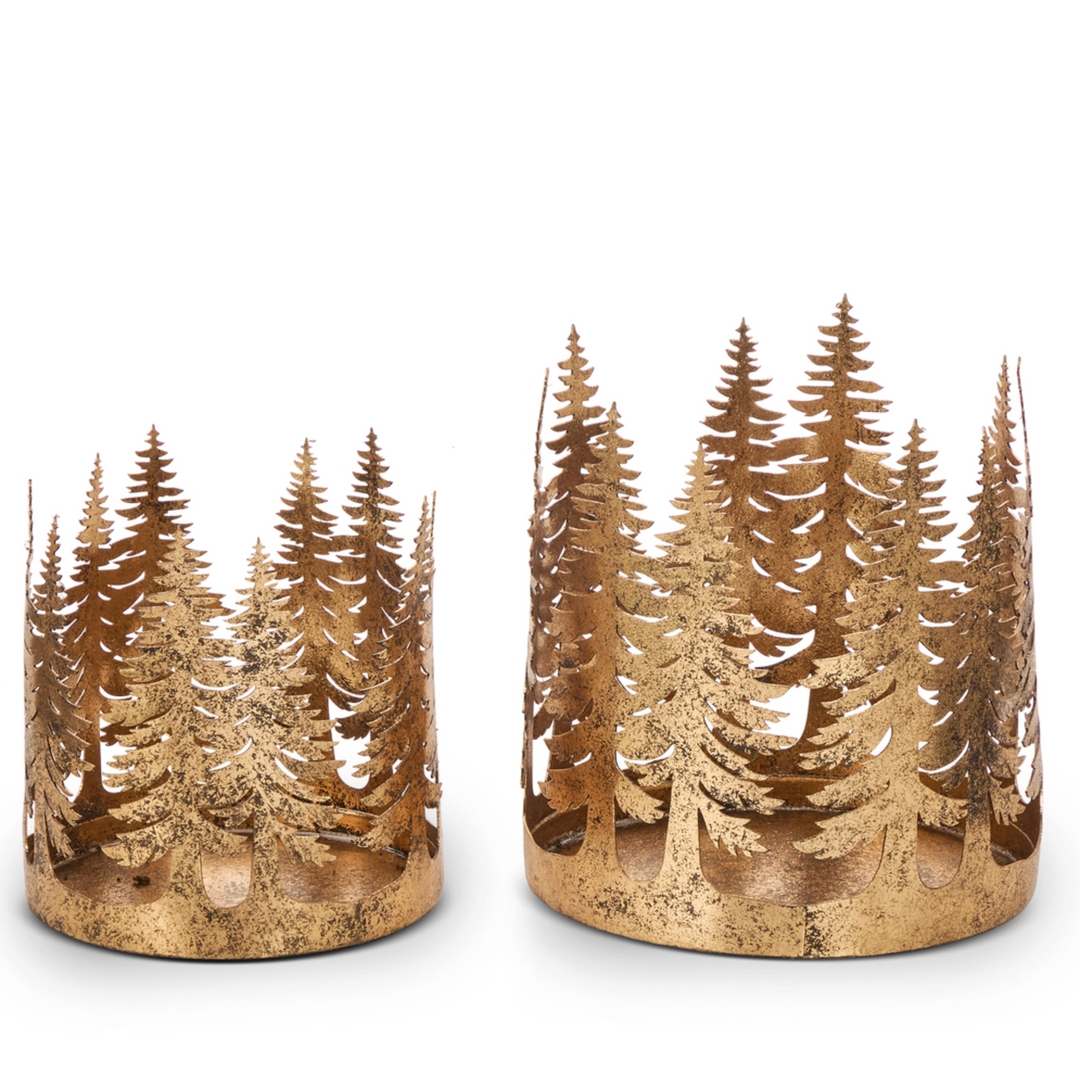 Gold tree Hurricane
