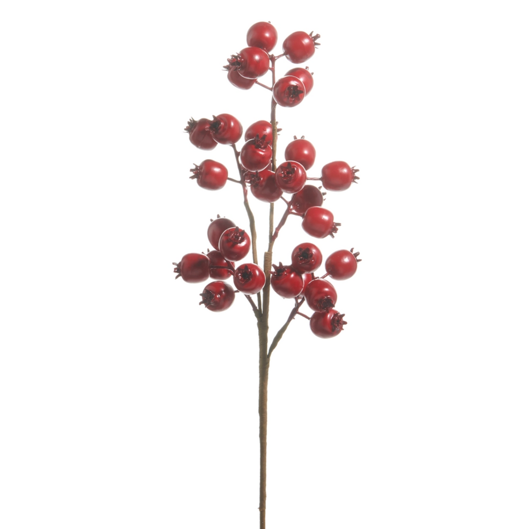 Matte Red Berry Pod Spray