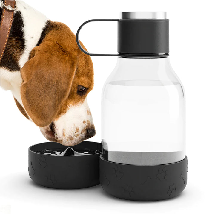 Human + Dog Bowl Water Bottle Lite