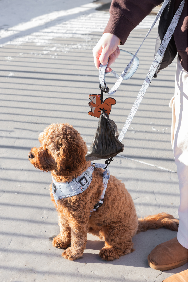 Squirrel Dog Waste Bag Holder