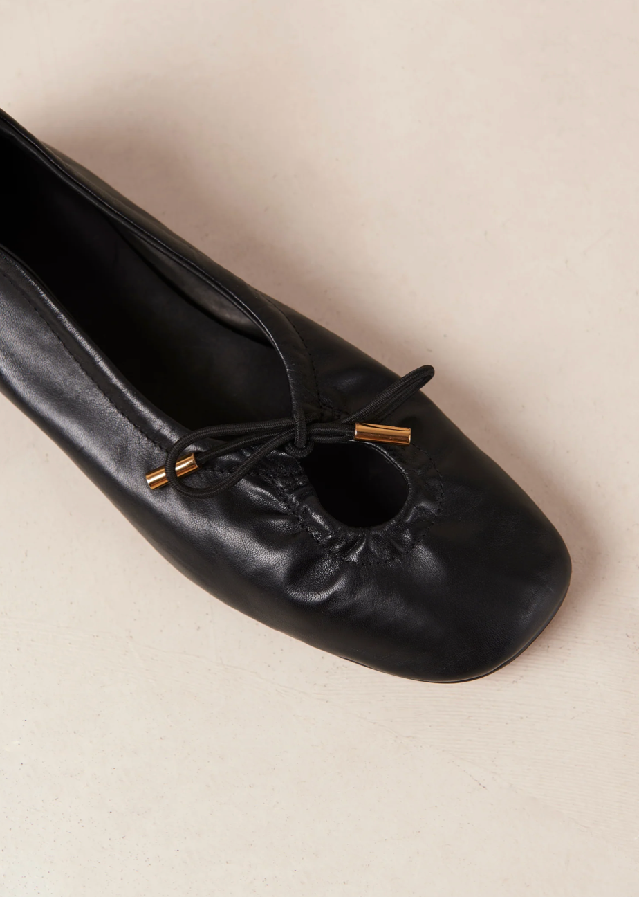 Rosalind Ballet Flats