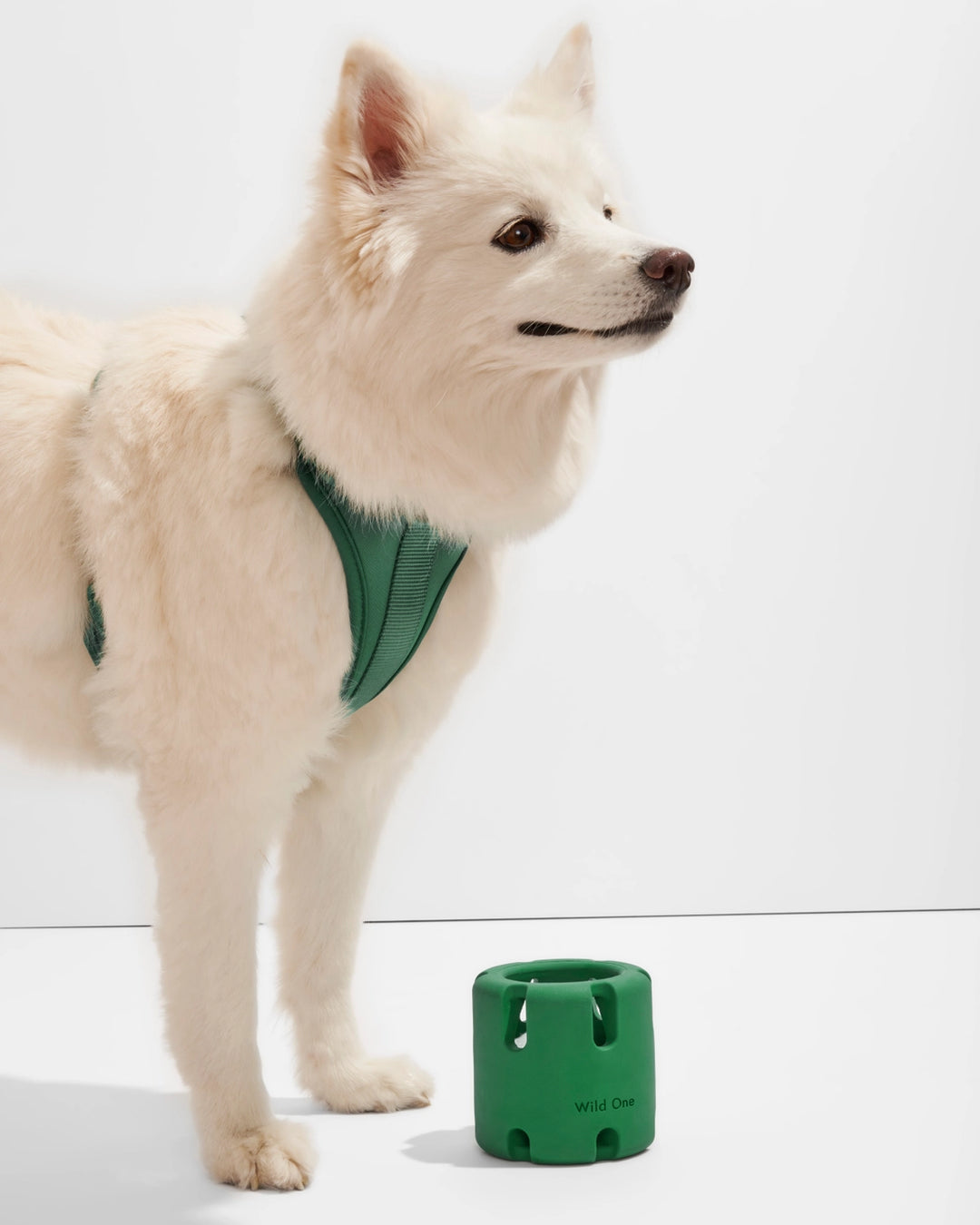 Tennis Tumble Interactive Dog Toy