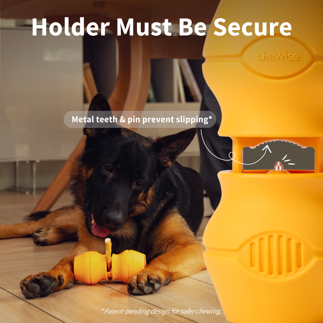 Safe Chew Holder – XL